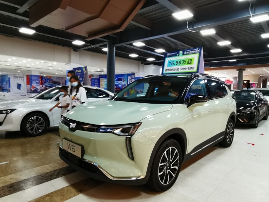 众多新能源车企品牌亮相三亚国际购物中心，吸引大批市民选购新能源汽车！