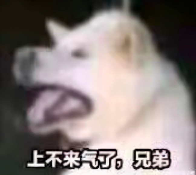 白狗：上不来气了兄弟表情包